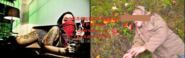 винт Наволоки