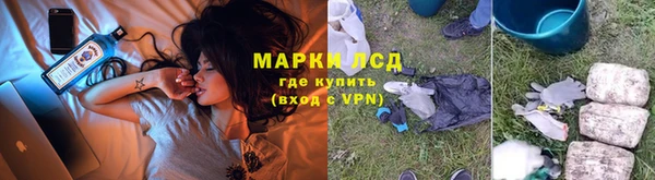 шишки Нея